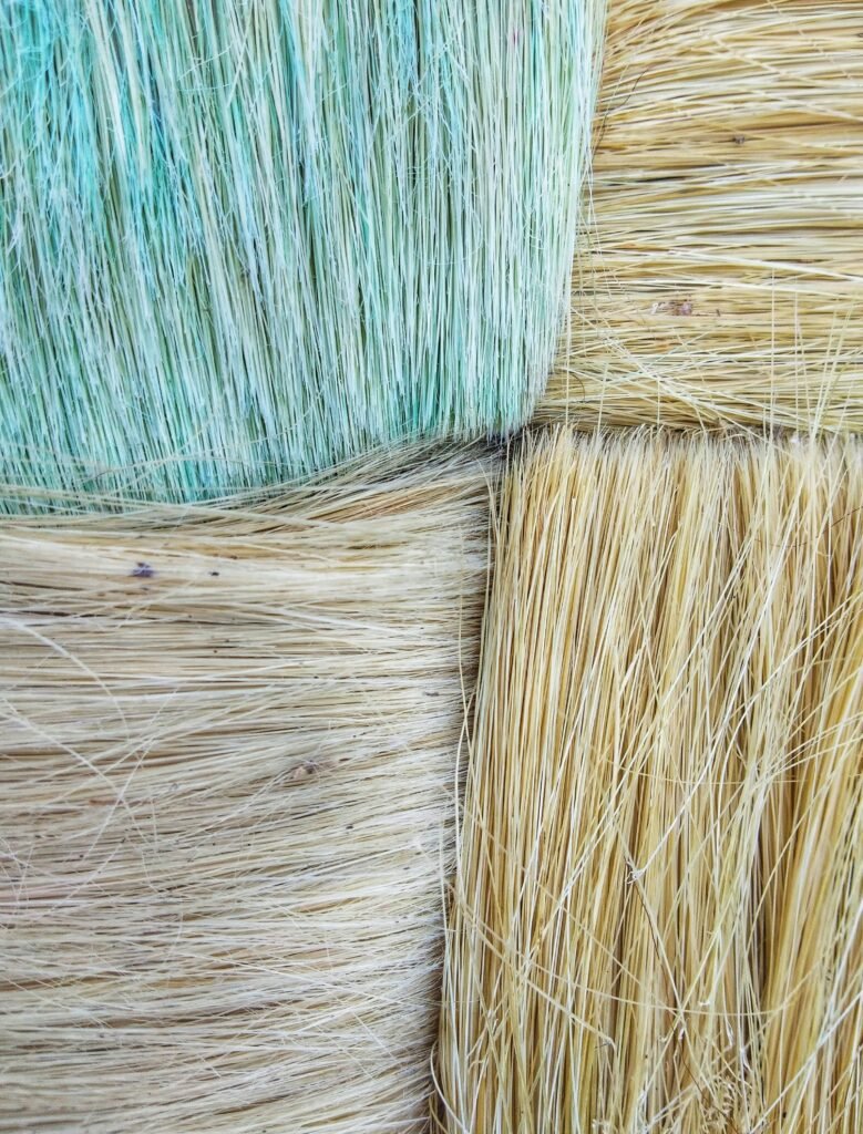 avinash kumar z6ozewgl fa unsplash